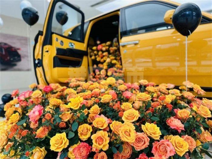 eba14a5fc2a11c8a2bdf1a2eaff6a483