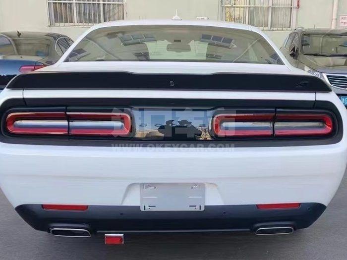 微信图片_202303131528181