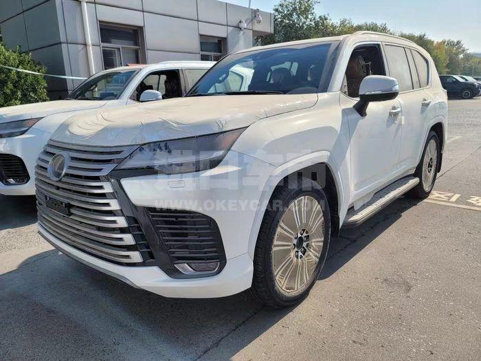 微信图片_202303311557191