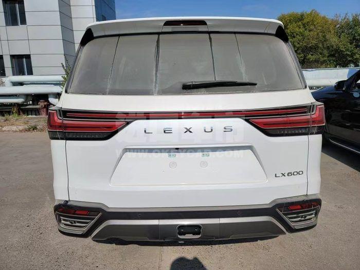 微信图片_202303311557193