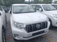 2023款 丰田霸道4000 4.0L EX-R 迪拜版