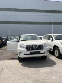 2023款 丰田霸道4000 4.0L EX-R 迪拜版