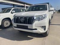 2023款 丰田霸道4000 4.0L TX-L 九气 外挂