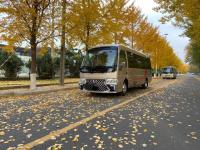 2020款 丰田考斯特2.7L 标准型