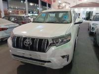 2023款 丰田霸道4000 4.0L TX-L 九气 外挂 19轮