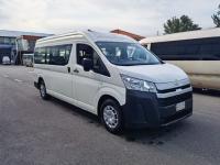 丰田海狮(进口)