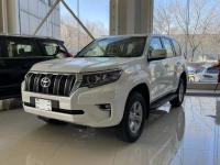 2023款 丰田霸道2800 2.8T 柴油 九气 底挂 天窗