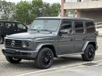 2023款 奔驰G400d