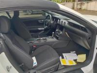 福特Mustang(野马)