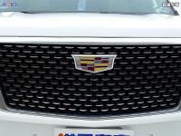 22款 3.0T 柴油 ESV加长 四驱 Premium Luxury实车照片